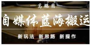 高鹏圈·自媒体蓝海搬运项目:单号收益每月基本都可以达到5000+,可批量-小白项目分享网