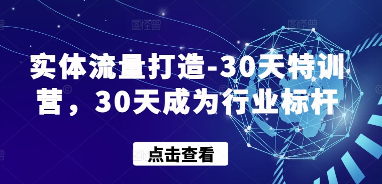 实体流量打造-30天特训营,30天成为行业标杆-小白项目分享网